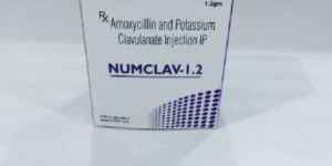 Numclav-1.2 Injection