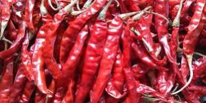 Whole Red Chilli