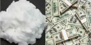 COTTON COMBER FOR CURRENCY