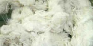 Cotton Yarn Waste