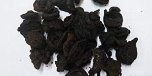 Dried Garcinia Cambogia