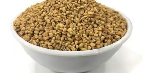 Dry Fenugreek Seeds