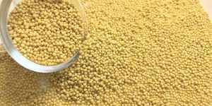 Organic Yellow Mustard Seeds