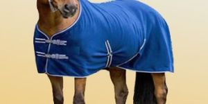 Horse Blanket