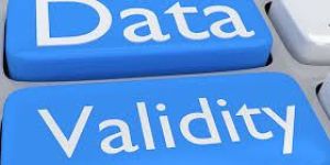 Data Validation Services
