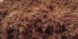 Coir Pith Powder