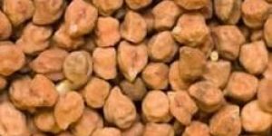 Desi Chickpeas