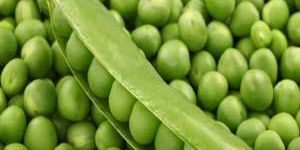 Organic Green Peas