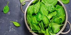 Organic Spinach Leaves