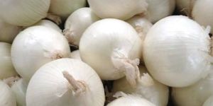 White Onion