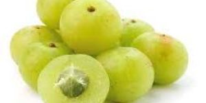 Fresh Amla