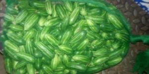 Fresh Pointed Gourd