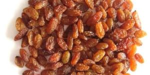 Organic Brown Raisins