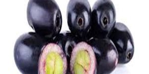 Fresh Black Plum