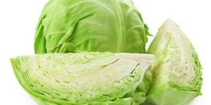 Fresh Cabbage