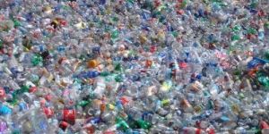 Pet Bottles Scrap