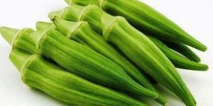 Fresh Okra