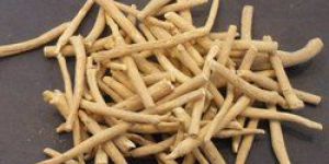 Ashwagandha Roots