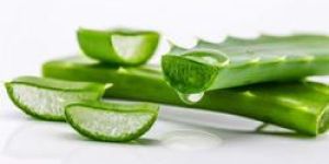 Herbal Aloe Vera Gel