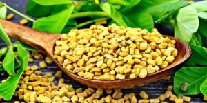 Fenugreek Seeds