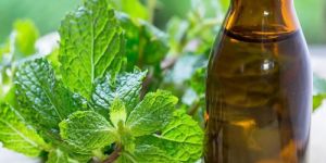 Organic Mentha Piperita Oil