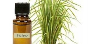 Pure Vetiver Oil