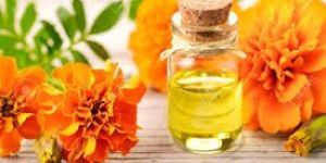 Tagetes Oil