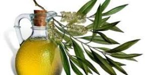 Tea Tree Oil