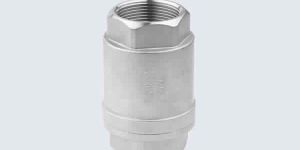 STAINLESS STEEL SPRING CHECK VALVE