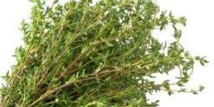 Thyme Leaves