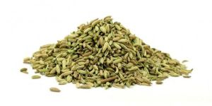Fennel Seeds
