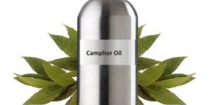 Camphor Oil