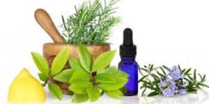 EUCALYPTUS RADIATA OIL