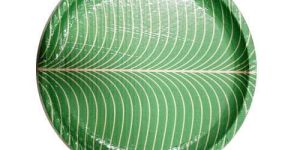 Green Buffet Paper Plate