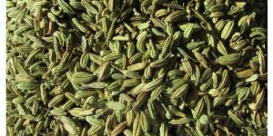 Fennel Seeds