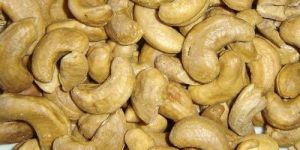 Dried Cashew Nut