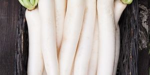 Fresh Daikon