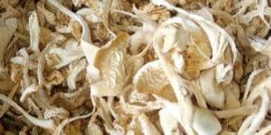 Dry Oyster Mushroom