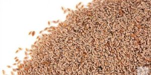 Psyllium Seeds
