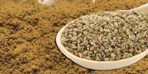 Ajwain Seeds and Powder