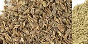 DILL SEEDS and POWDER