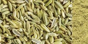 FENNEL SEEDS and POWDER