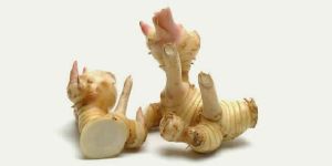 Galangal Root