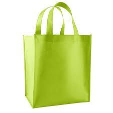 Non Woven Bags