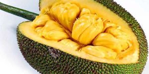 Fresh Jackfruit