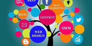 Digital Marketing Training Services