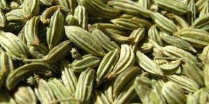 Dried Fennel Seeds