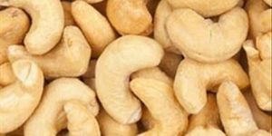 SSP Cashew Kernel