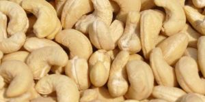 W450 Whole Cashew Kernel
