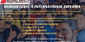 Nebosh International Diploma Course